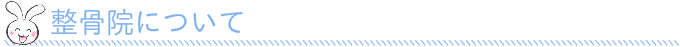 整骨院について